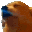 dog dance.gif