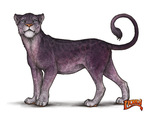 lioden wardrobe (1).png