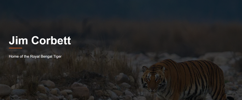 Screenshot (35).png