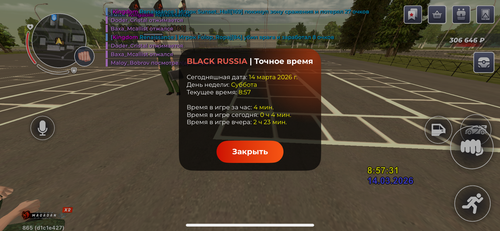 IMG 6065.png
