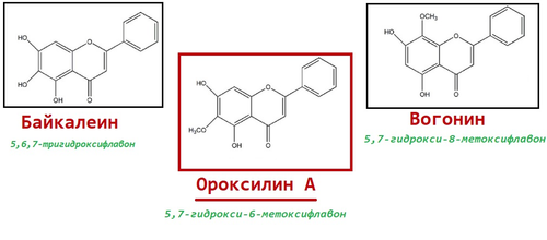 изображение 2026 03 14 141931296.png