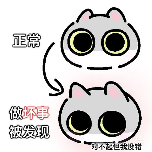 Camera XHS 17652843888851040g00831a7gc53lmm005p9nntjh1aa85u1onfo.jpg