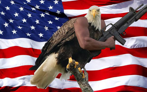 eaglegunflag.jpg