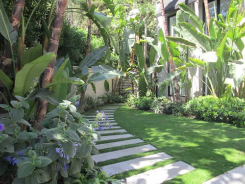 Arborist in sacramento - Sactreecare.com.jpg