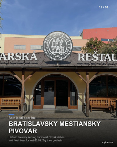 slide 02 bratislavsky mestian.jpg