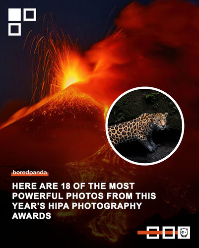 power photography winners hipa.jpg