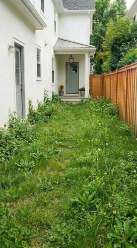 f1 clear weeds.png