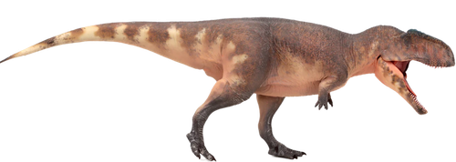 Untitled.png