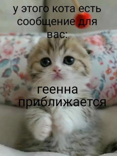 b S5tomIKpL FJGtERyto8DW0uyOGOArkmPVIVyX9yaMQpF pEpAK fEyrUoeNBueFcCkpstTEP5ZquhDwOw7F1 .jpg