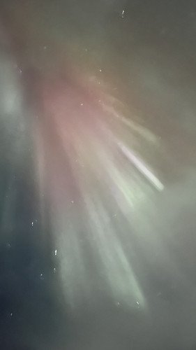 IMG 2368.jpg