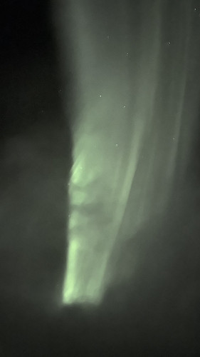 IMG 2331.jpg