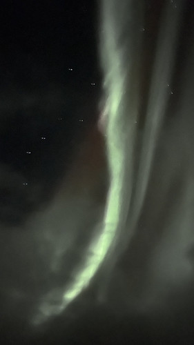 IMG 2338.jpg