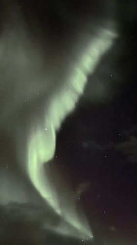 IMG 2350.jpg