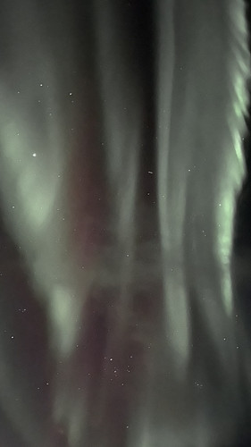 IMG 2339.jpg
