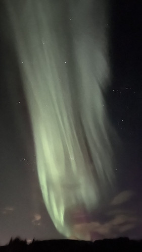 IMG 2330.jpg