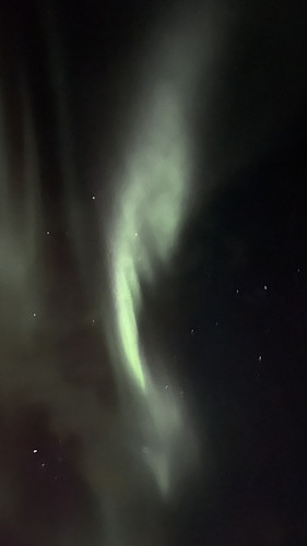 IMG 2341.jpg