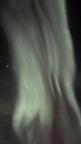 IMG 2336.jpg
