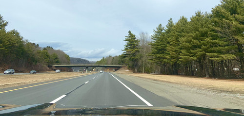 IMG 2675.jpg
