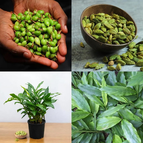 71BUG KQOlL. SL1080 .jpg