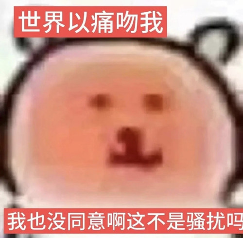 Screenshot 2026 03 14 19 56 28 982 com.xingin.xhs.jpg