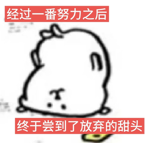Screenshot 2026 03 14 19 48 28 202 com.xingin.xhs.jpg