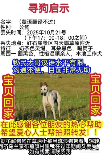 QQ图片20260314182337.png