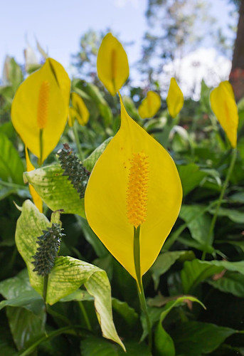 71oJ1OmYT6L. SL1500 .jpg