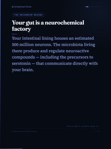 9eb83ec5d0d9.png