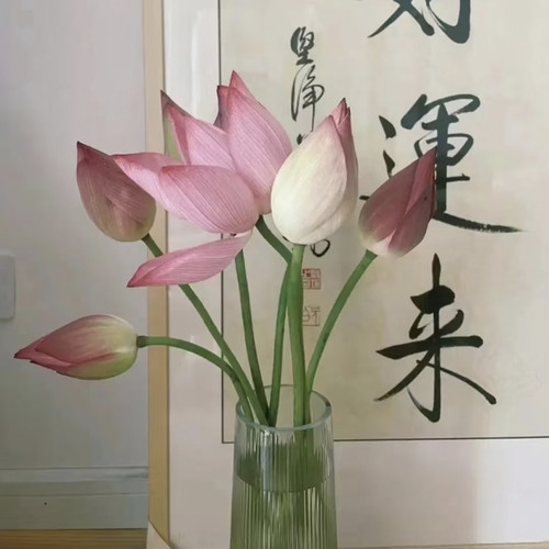 IMG 20260315 003147.jpg