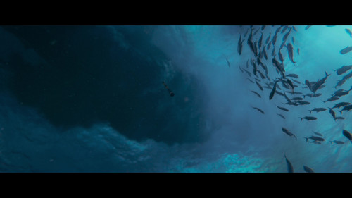 The.Little.Mermaid.2023.2160p.UHD.BluRay.HDR.x265.TrueHD.7.1.2Audio UBits 000403.jpg
