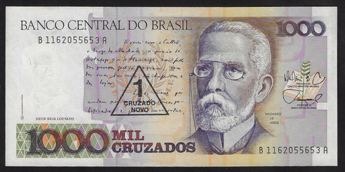 497.jpg