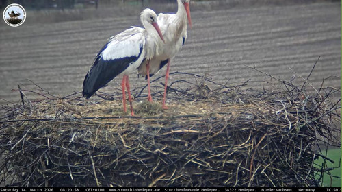 MWSnap745.jpg