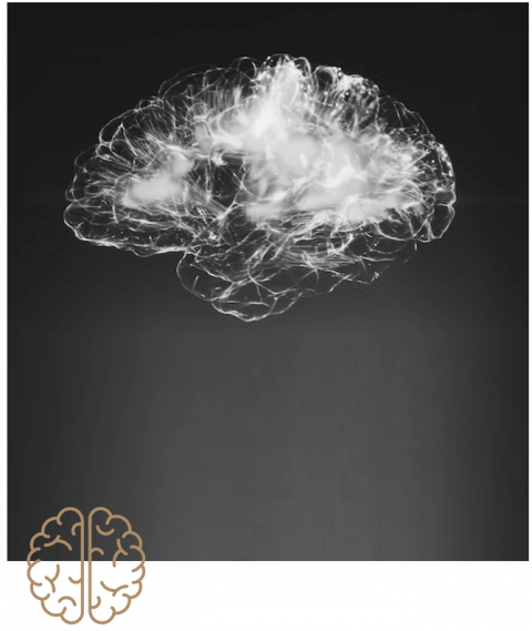 neuro feedback northern beaches therapy 480x569.png