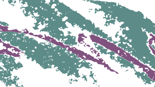 FOAM CUP hd.png