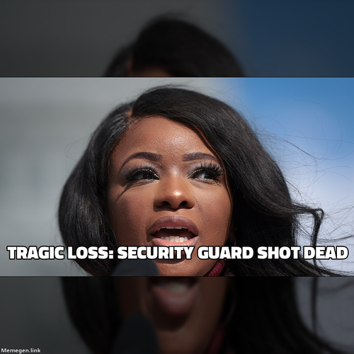 TRAGIC LOSS: SECURITY GUARD SHOT DEAD.png?background=https%3A%2F%2Fimagez.tmz.com%2Fimage%2F0b%2F16b.png