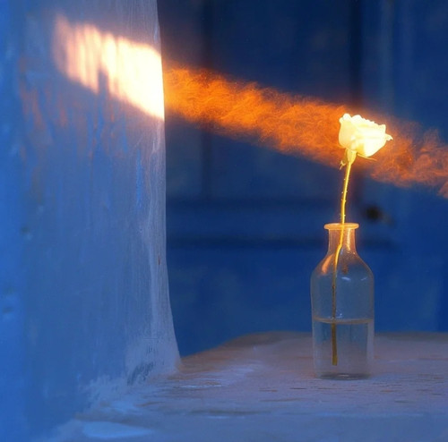 IMG 20260313 192130.jpg