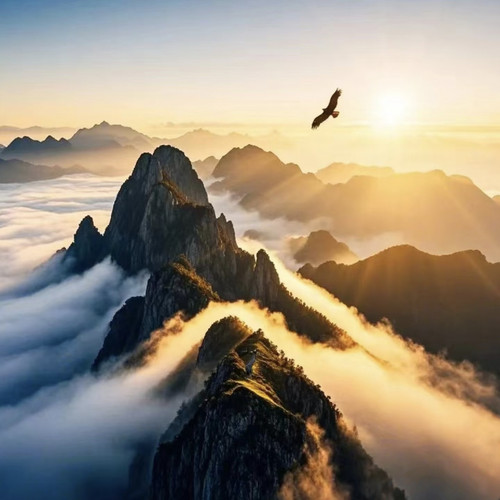 IMG 20260315 011208.jpg