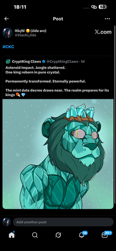 IMG 9675.png