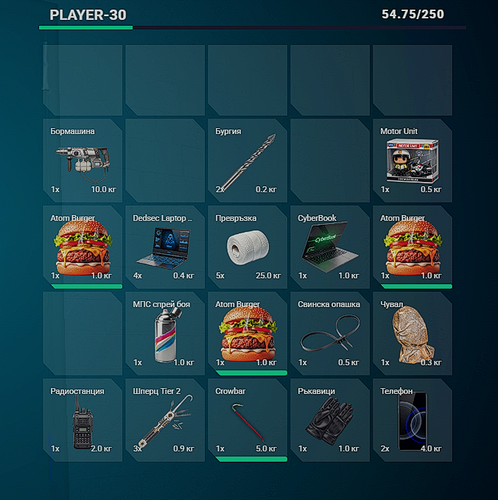 FiveM GTAProcess 49IXoBJt75.png