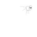 42723dabab3e.png