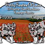 pretty sunshine of love