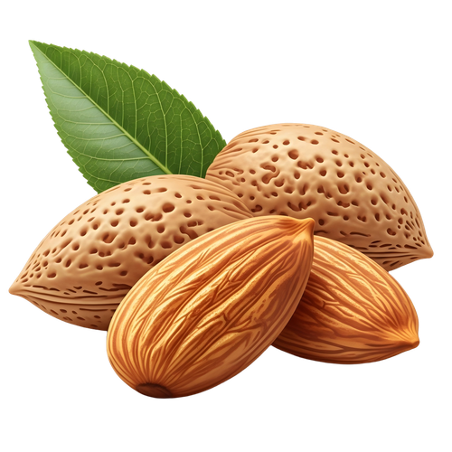 4d9ef44241e7.png