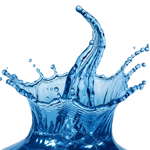 7ec78c65b2b9.png
