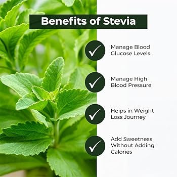 612S98T7SJL. AC UF350,350 QL80 .jpg