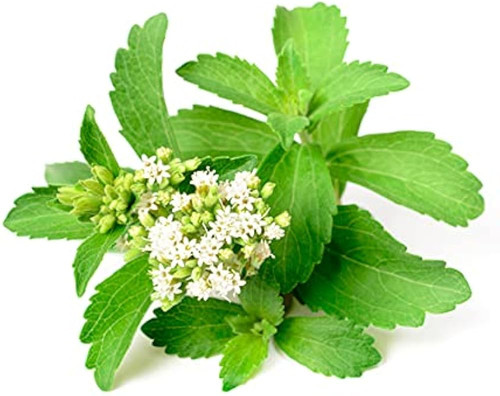 41HgP4fV90L. AC UF1000,1000 QL80 .jpg