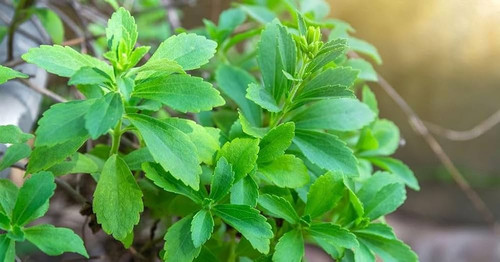 51wkkBeXu9L. AC UF1000,1000 QL80 .jpg