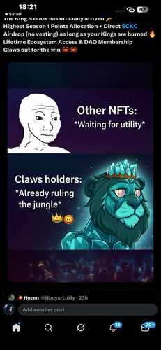 IMG 9678.png