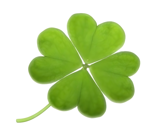1000010934.png