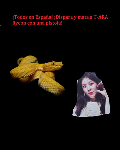 625456837 25068512076157155 6317393455021912280 n.jpg