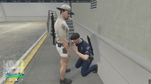 FiveM GTAProcess VgkDHJkwry.jpg